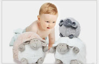 Thumbnail for Baby Playing with Fluffy Sheep Stuffed Animals