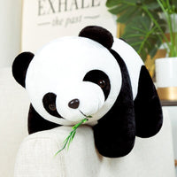 Thumbnail for Devache Stuffed Animal Iggy The Cute Panda Plushie